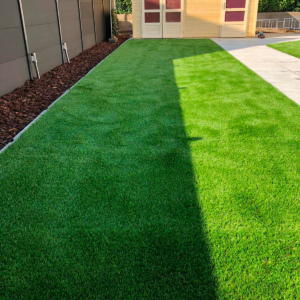 0bd6ed1b-a2a2-48f4-8c70-fa854e8fb2d9