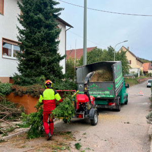 10fe7eb1-d85c-418a-851a-31d33dbcae5c