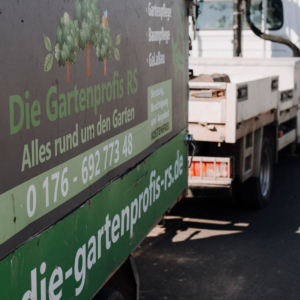 1482862d-c6e4-47ff-84c0-e46d4c54601d