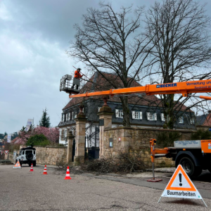 1f18549b-b6f1-4cd2-a4b3-9562d6c18802