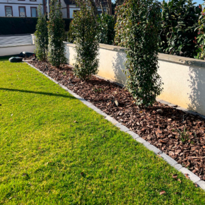 345eca31-baa7-4371-b0d5-b7987c95377a