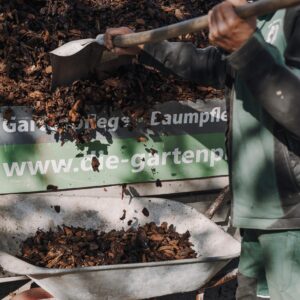 Pinienmulch