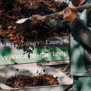 4da4e086-5651-4763-a35c-283ac6ee965b