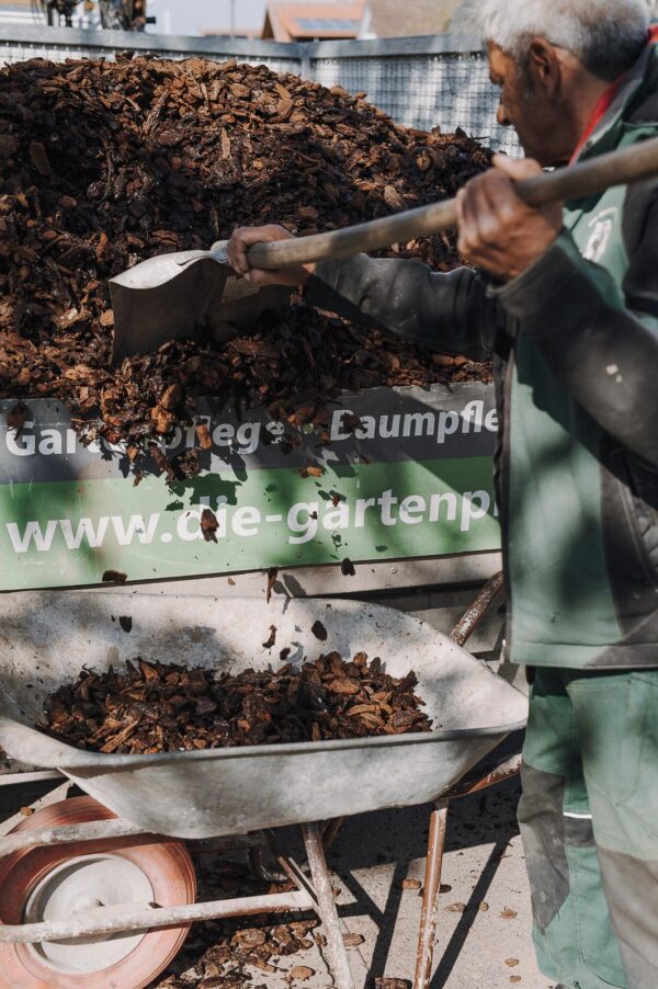 Pinienmulch
