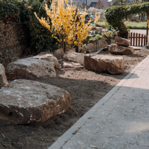 5428a4bb-8cab-4d17-9a54-c11a95d79b9e