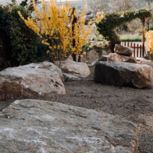 98b4bf5d-68d3-461d-9b80-f69fba2624fa