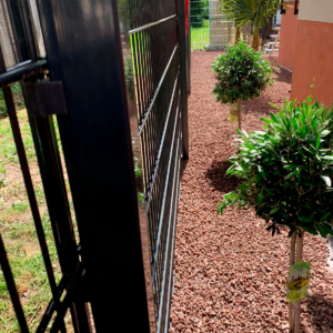 a9a1f254-233b-4f2d-80e0-b2d015d7ca3c