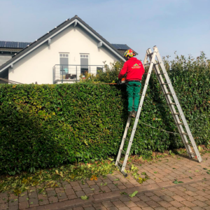 bbd12645-d5c6-47a5-8696-d8a9ab535af4