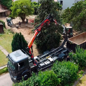 e8aa3899-6d93-4027-a8c1-6451ee98c990