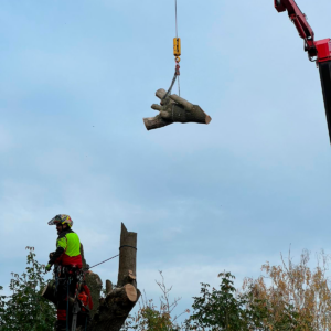 f5098b60-c92f-4d6f-b0ed-92fcd5244ea8